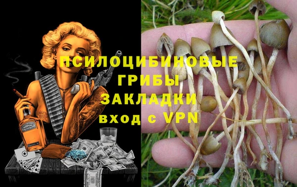 ALPHA-PVP Алексин