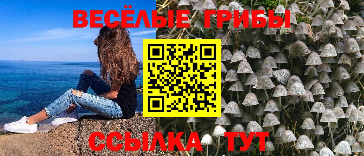 Псилоцибиновые грибы мицелий Солнечногорск